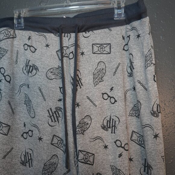 Wizarding World Harry Potter Womens Cozy 2 Piece Pajama Set Gray Size Medium - Picture 7 of 8